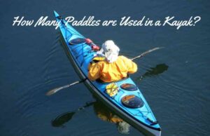 How Many Paddles are Used in a Kayak